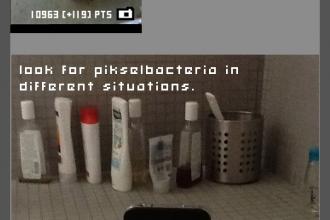 Pikselbacteria