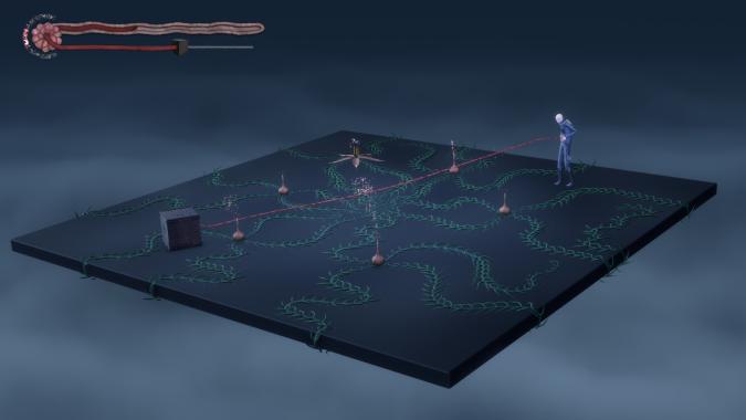 Balance: Umbilical Wake